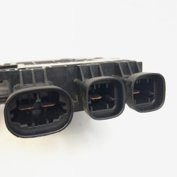 CAJA RELES / FUSIBLES RENAULT MEGANE III COUPE 243800011R
