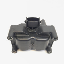 BOBINA ENCENDIDO FORD C-MAX (CB3)(2007) 0221503491