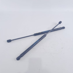 AMORTIGUADORES MALETERO / PORTON CITROEN C3 9639853880