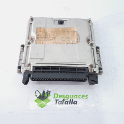 CENTRALITA MOTOR UCE PEUGEOT 406 BERLINA (S1/S2) RHZDW10ATEDRHZ0281001782