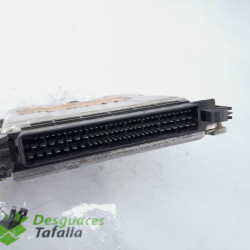 CENTRALITA MOTOR UCE PEUGEOT 406 BERLINA (S1/S2) RHZDW10ATEDRHZ0281001782