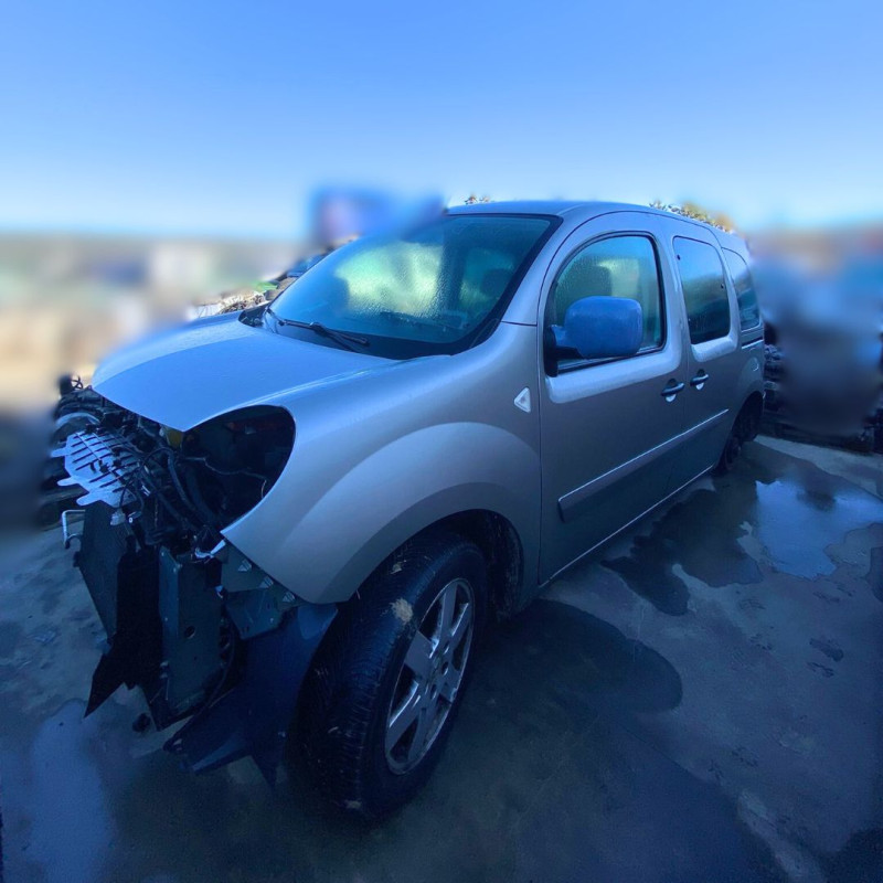 PUERTA DELANTERA DERECHA RENAULT KANGOO II (F/KW0)