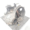 CAJA CAMBIOS SEAT LEON (1P1) CAYCTIPO CAYMDZ 270410
