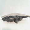 FARO DERECHO PEUGEOT 307 (S1)(04.2001) NFUTU5JP4TIPO: NFU965576428D