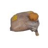 DEPOSITO EXPANSION OPEL ZAFIRA B Z19DT460029937