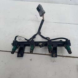 RAMPA INYECTORA CITROEN C3 PLURIEL 8HX