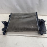 RADIADOR AGUA RENAULT TWINGO I (C06) C3G700G-C3G