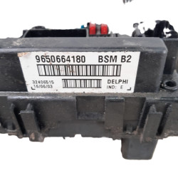 CAJA RELES / FUSIBLES PEUGEOT 206 8HX9650664180