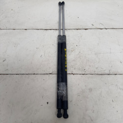 AMORTIGUADORES MALETERO / PORTON RENAULT LAGUNA II (BG0) F9Q750F9Q D6