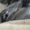 PARAGOLPES TRASERO SEAT LEON (1M1) ASV1ML807421