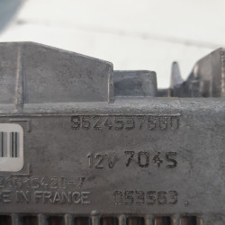CENTRALITA MOTOR UCE CITROEN ZX BDYXU5M8FZ9624537880
