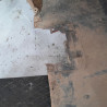 PARAGOLPES TRASERO SEAT LEON (1M1) ASV