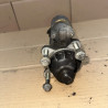 MOTOR ARRANQUE FORD FOCUS BERLINA (CAK) F9DA1S4U11000AA