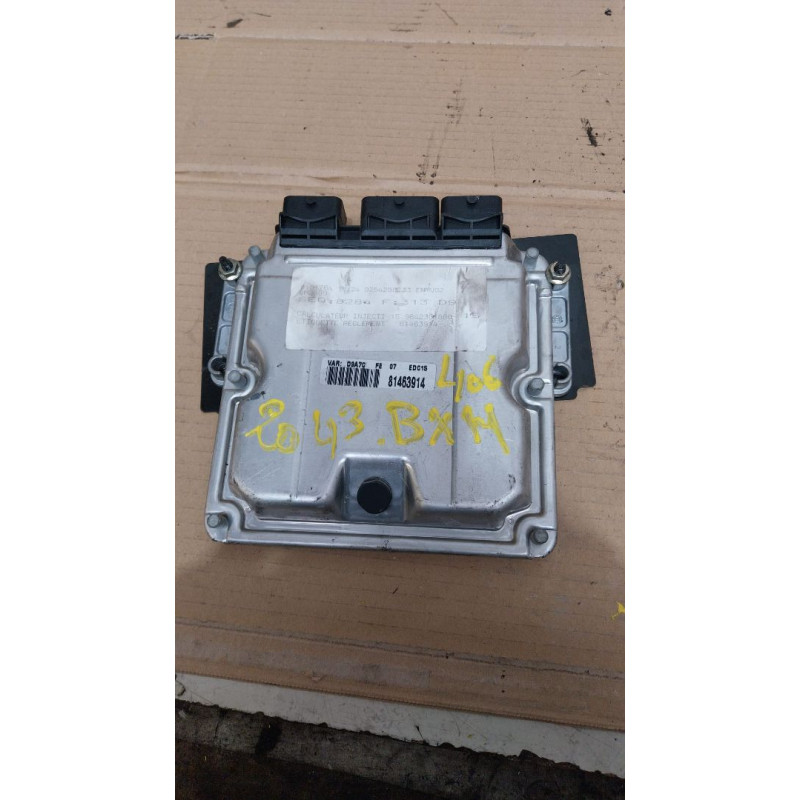 CENTRALITA MOTOR UCE PEUGEOT 406 BERLINA (S1/S2) RHZDW10ATEDRHZ81463914