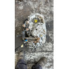 CAJA CAMBIOS RENAULT MASTER III FURGÓN M9T C7C010797
