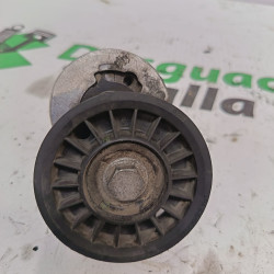 TENSOR CORREA AUXILIAR AUDI A4 BERLINA (B5) AFN5V