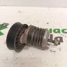 TENSOR CORREA AUXILIAR AUDI A4 BERLINA (B5) AFN5V