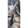 PILOTO TRASERO DERECHO MITSUBISHI GALLOPER (HYUNDAI)(02.1998) D 4D560431540